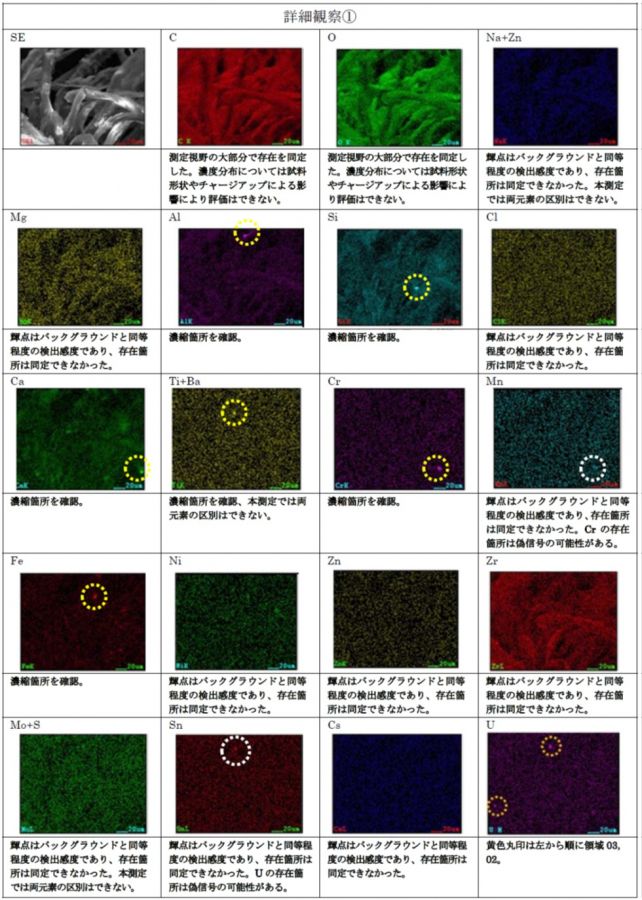 図3　FE-SEM/EDS観察結果（詳細観察①）