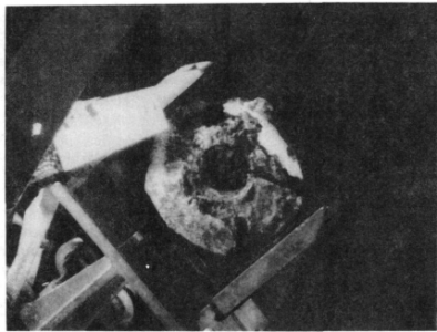 図15(d)　E7ノズルの外観（トップ） [1]