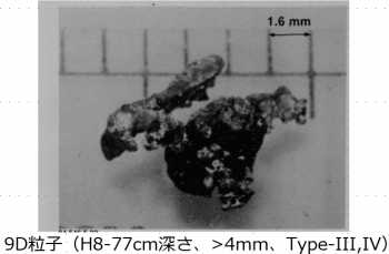 図２(w)　9D粒子の外観
