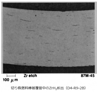 図19(c) 切り株燃料棒被覆管の断面金相（ZrH2相の析出） [2]