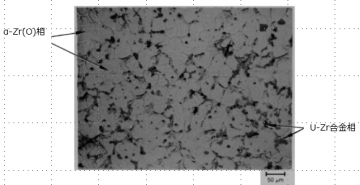 図３(c)　U-Zr-O溶融凝固物の拡大金相