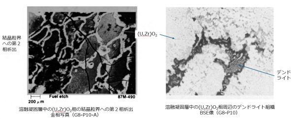 図17 溶融凝固層中のセラミックデブリ粒子中の第２相の析出 [2]