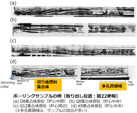 図25　コアボーリングサンプルの断面モザイク写真[22]