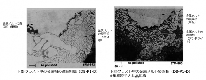 図９(d)　金属相中のデンドライト組織 (D8-P1) [2]