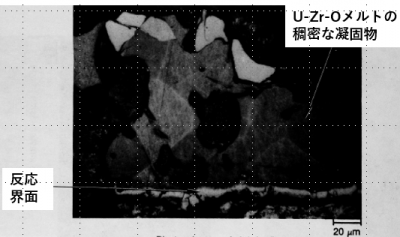 図14(c)　界面領域の拡大金相（エッチング後）