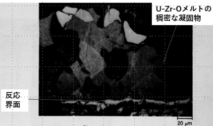 図14(d)　界面領域の拡大金相（エッチング後）