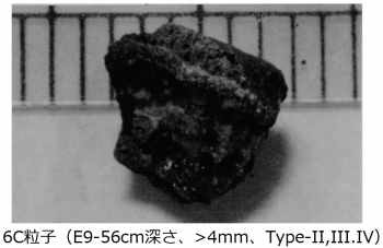 図２(l)　6C粒子の外観