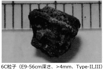 図２(l)　6C粒子の外観