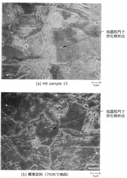 図６(a)　H8-sample3部位での母相の金相 [4]
