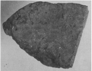 図１　TMI-2下部プレナムから採集された岩石状デブリの外観 [1]