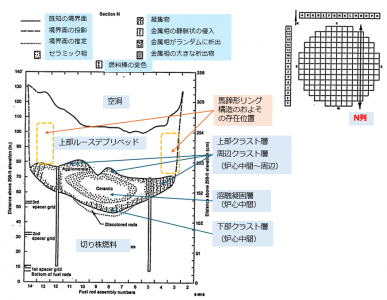 図13(c)　炉心N列でのデブリ堆積状態の推定 [24]