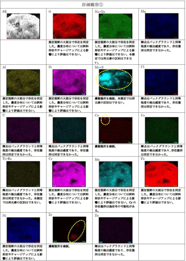 図8　FE-SEM/EDS観察結果（詳細観察⑤）
