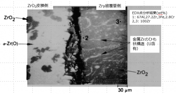 図５(c)　1E粒子のZrO2皮膜/Zry被覆管界面の拡大BSI