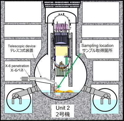 2号機試験的取り出し燃料デブリ（2024年11月採取）