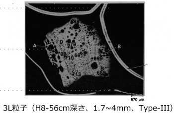 図２(e)　3L粒子の断面金相