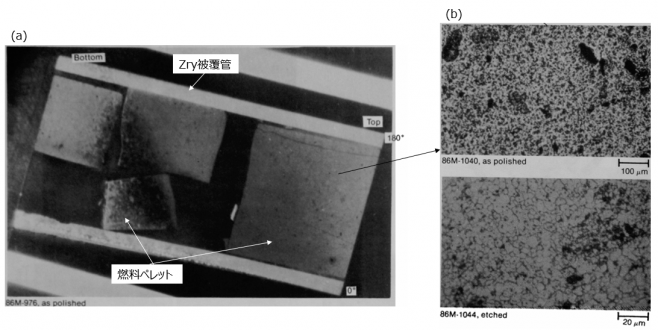 図６(d)　燃料棒サンプル内の残留ペレット (a)断面金相　(b)拡大金相（研磨後、エッチング後）