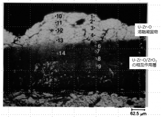 図５(b)　1E粒子のZrO2皮膜/U-Zr-O溶融凝固物界面の拡大BSI（オージェ分光分析の測定点）