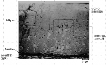 図５(d)　1E粒子のZrO2皮膜/U-Zr-O溶融凝固物界面の拡大BSI