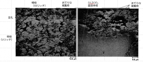 図６(d)　領域-1と領域-2の拡大BSI