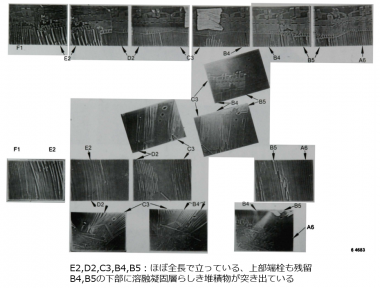 図２(a)　Plate-6部位の周辺燃料集合体の状態[5]