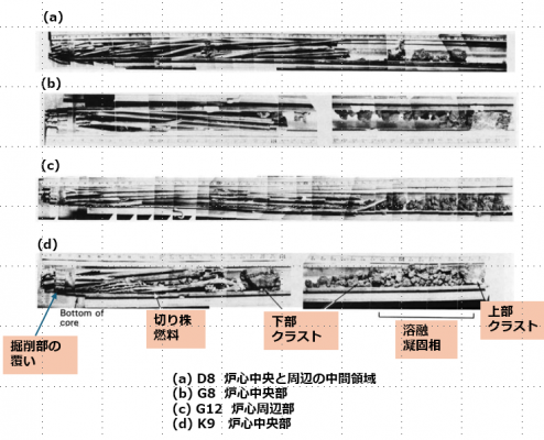 図17　コアボーリングサンプルの断面モザイク写真[11]