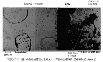図８(c) 下部クラストサンプルの拡大金相写真（金属溶融凝固物と酸化Zry被覆管の界面）（D8-P2）[2]