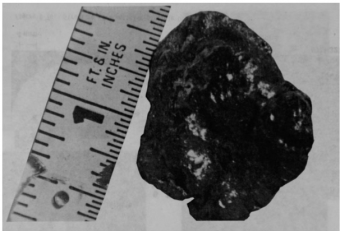 図11(a) 溶融凝固層中のセラミックデブリ粒子の外観 [2]