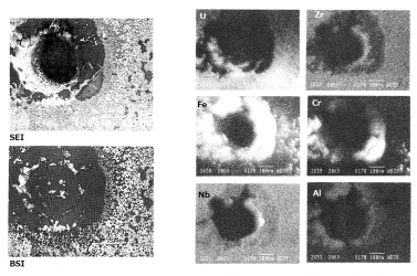 図12(e)　ROI#4の詳細観察結果　[3]
