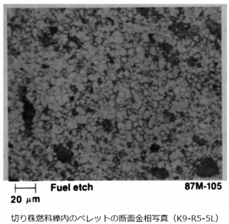 図19(b) 切り株燃料棒内ペレットの断面金相 [2]