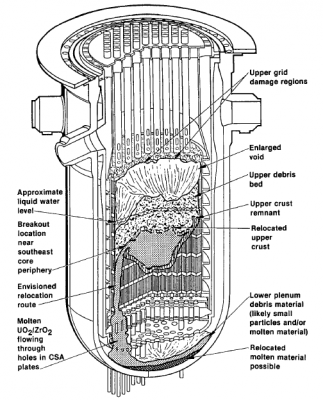 図７　スクラム後224分（クラスト破損時）の炉内状況の推定 [2,3]