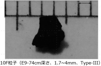 図２(A)　10F粒子の外観